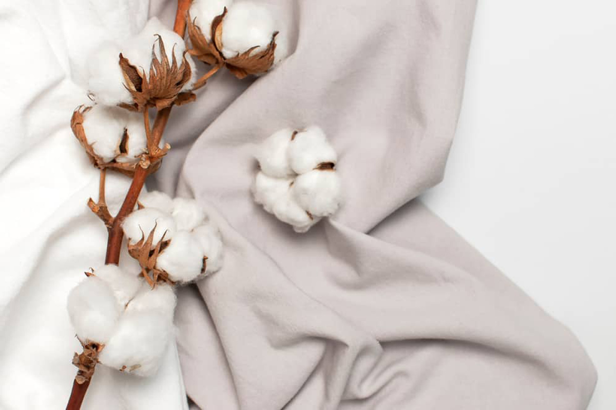 Tìm Hiểu Về Vải Cotton – Ưu Nhược Điểm Và Cách Giặt Vải