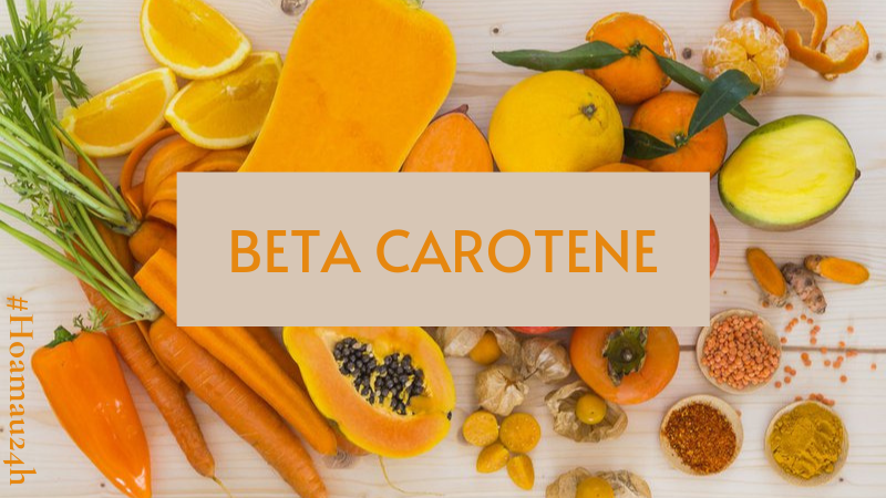 Giải mã về thành phần Beta carotene – Tiền chất vitamin A mà không phải ai cũng biết