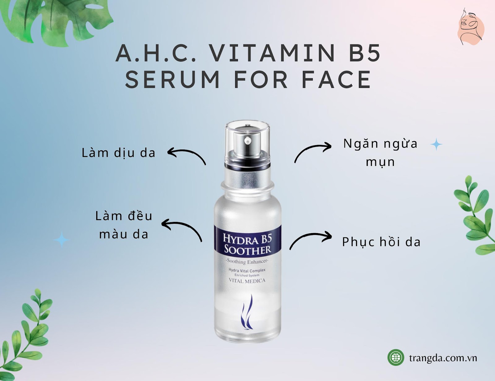 A.H.C. Vitamin B5 Serum for Face serum B5 phục hồi da treatment