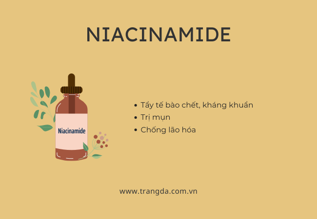 Treatment là gì? Công dụng của Niacinamide