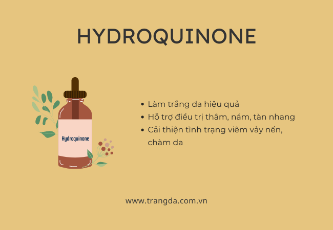 Treatment là gì? Công dụng của Hydroquinone