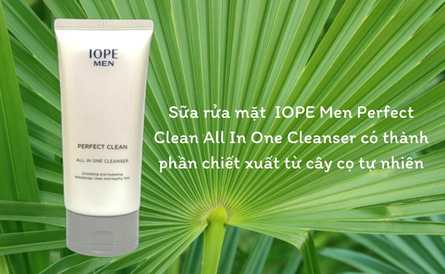 Với thành phần tự nhiên, IOPE Men Perfect Clean All In One Cleanser là sự lựa chọn hàng đầu cho da dầu nam giới.