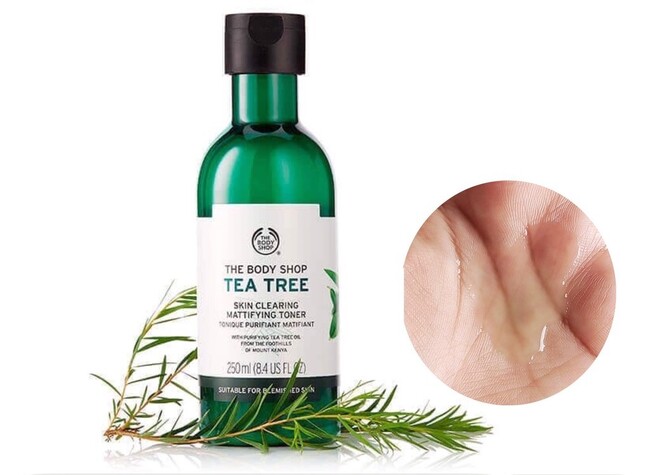 The Face Shop Tea Tree Skin Clearing Toner se khít lỗ chân lông cho da dầu 