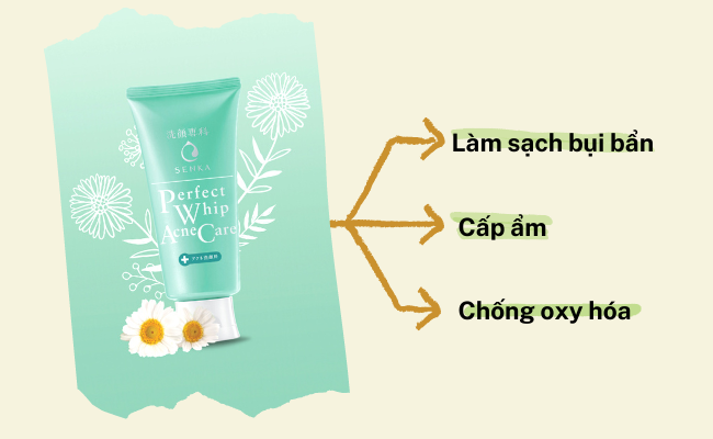 Chiết xuất hoa cúc có trong Senka Perfect Whip Acne Care có tác dụng gì?
