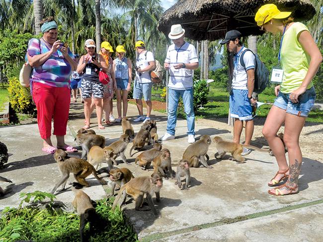 Đi Đảo Khỉ Nha Trang