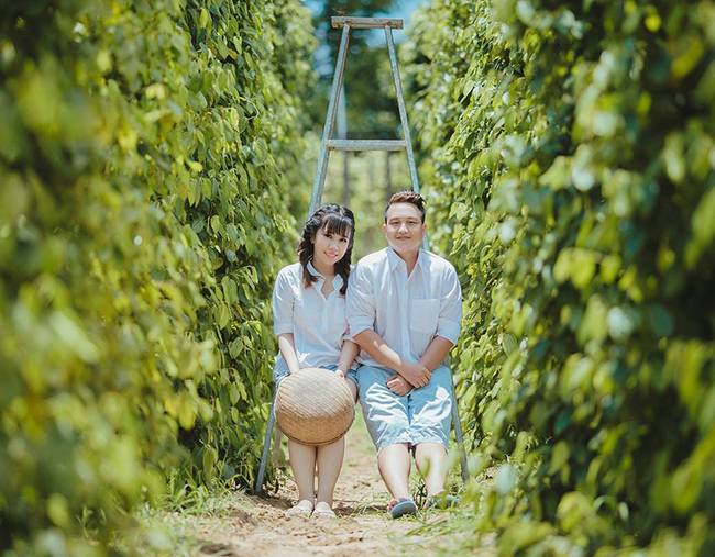 Nhiều cặp đôi chọn vườn tiêu Phú Quốc để ghi lại kỉ niệm hoặc chụp ảnh cưới.