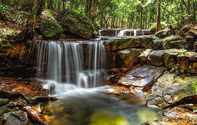 Vườn quốc gia Phú Quốc - trung tâm đa dạng sinh học của cả nước