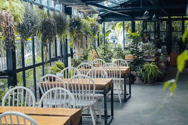 Chụp hình sống ảo tại The Ylang - Gardenista Coffee