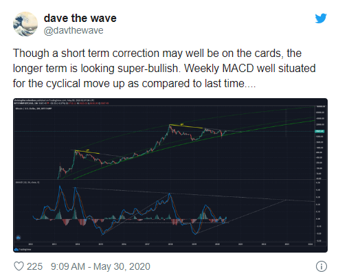 Bài tweet của Dave the Wave