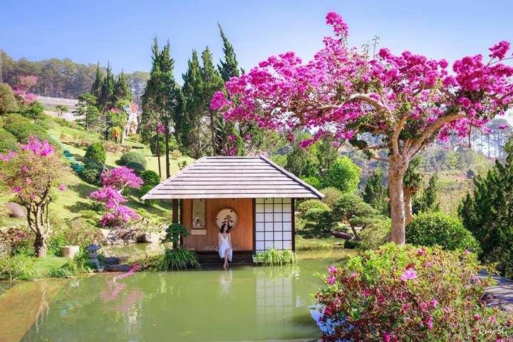 QUE Garden - quán cafe nuôi cá Koi và trồng bonsai thơ mộng đậm chất Nhật Bản tại Đà Lạt