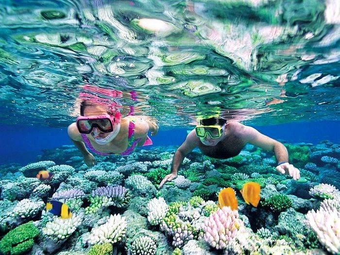 Bãi lặn Vinpearl Diving Club - nơi bạn có thể tự do vùng vẫy và ngắm nhìn vẻ đẹp huyền bí dưới lòng đại dương