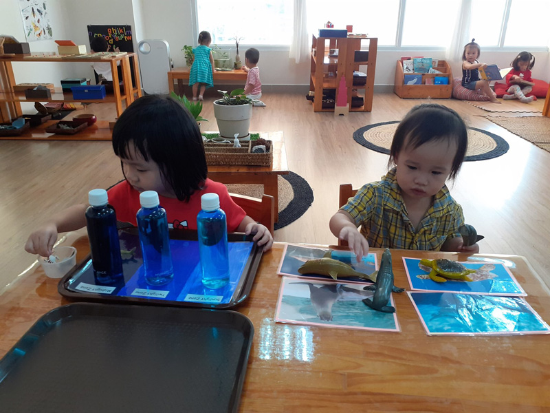 Học phí trường quốc tế Montessori Việt Nam