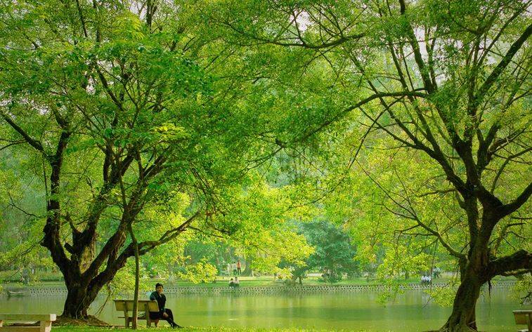 Công viên Bách Thảo được ví như lá phổi xanh của Thủ đô với cảnh quan sông nước và thiên nhiên hữu tình