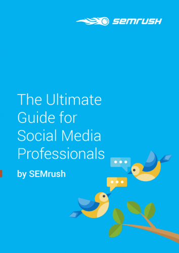 The Ultimate Guide for Social Media Professionals by SEMrush