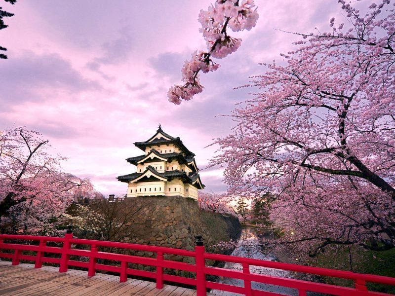 10 kinh nghiệm du lịch Nhật Bản theo tour trọn gói chọn hãng uy tín
