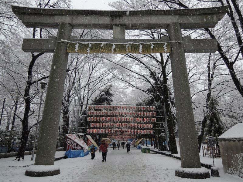 Mùa đông Nhật Bản cũng đẹp chẳng kém mùa xuân hay mùa thu (Nguồn: dulichnhatban.net)