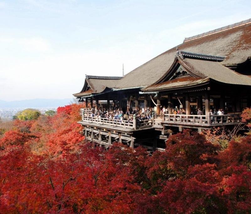 Chùa Kiyomizu-dera rực rỡ khi thu sang (Nguồn: chuanoitieng.com)