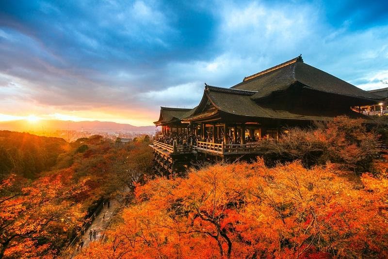 19 kinh nghiệm du lịch Nhật Bản mùa thu theo tour, tự túc chi tiết