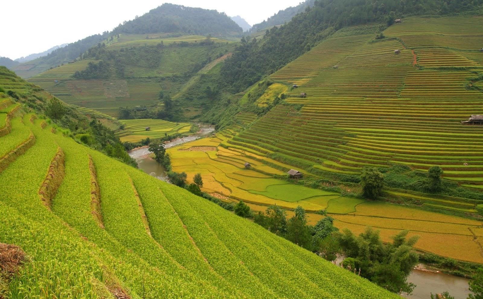  Chế Cu Nha - Mù Căng Chải