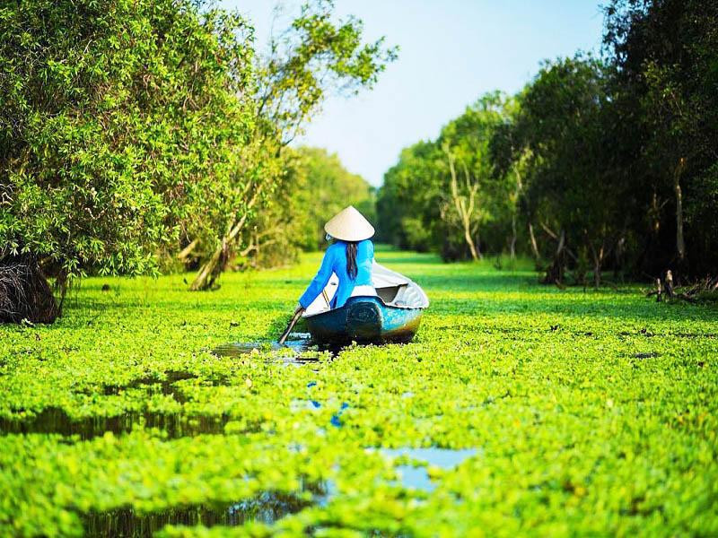 Rừng tràm Trà Sư ( Nguồn: hoanggh.com )