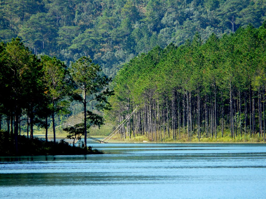 Vẻ đẹp hoang sơ của hồ Tuyền Lâm Đà Lạt (Nguồn: divivuvn.com)