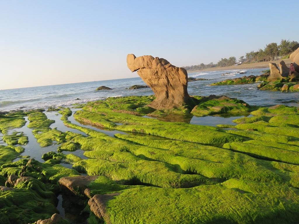 Biển Cổ Thạch với những phiến đá hình thù độc đáo và phủ rêu phong (Nguồn: muinevictory.com)