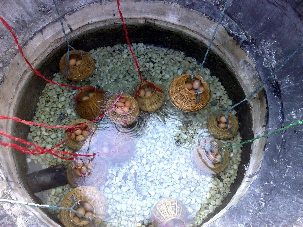 Cùng luộc trứng tại suối nước nóng Bình Châu (Nguồn: vietsovpetroresort.com)