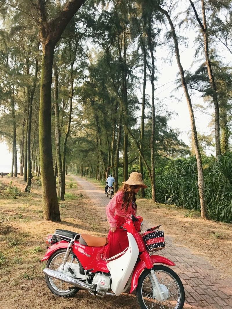 Con đường tình yêu lãng mạn ở Cô Tô (Nguồn: toplist.vn)