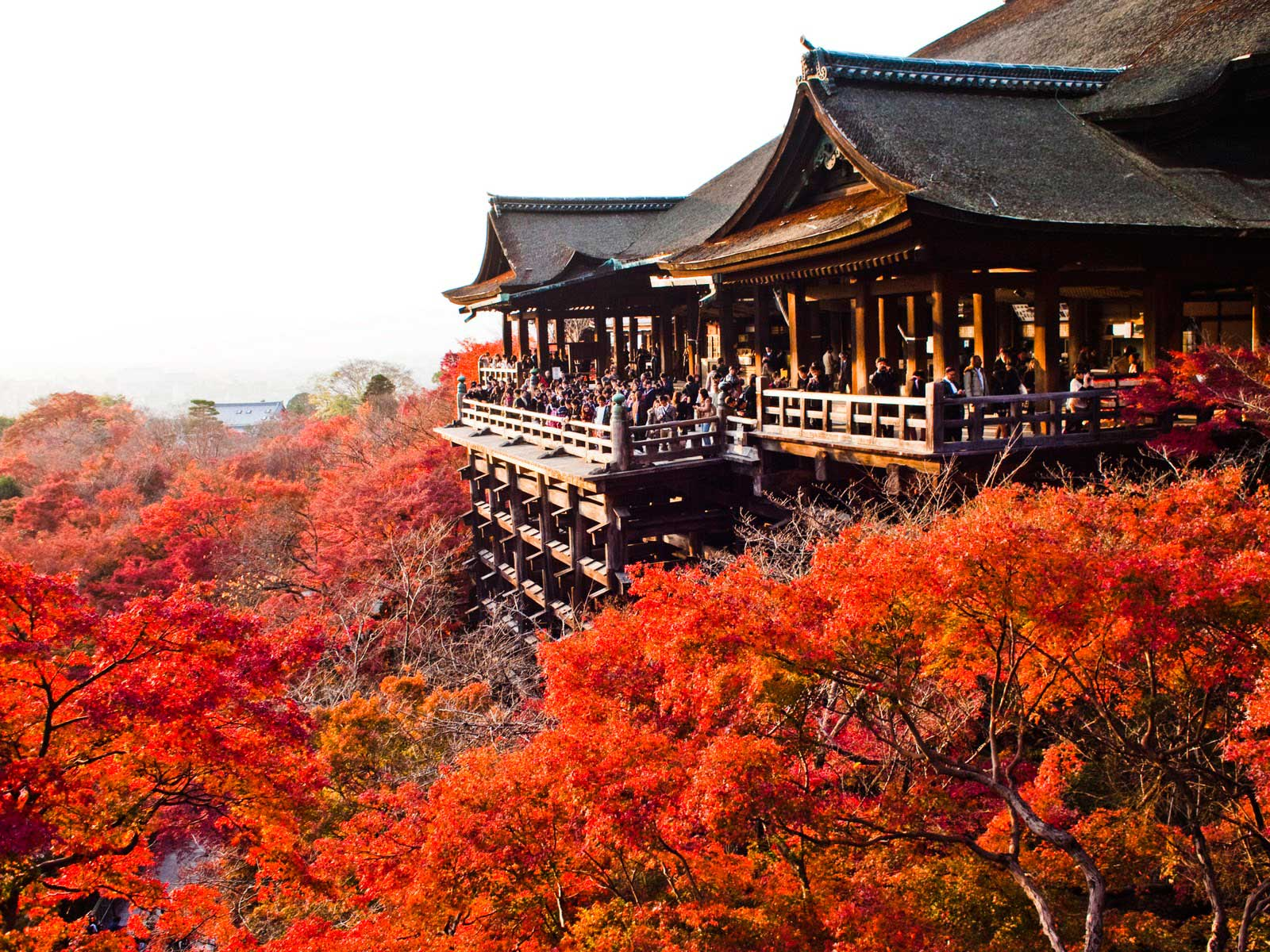 21 địa điểm du lịch Nhật Bản mùa thu tháng 9 ngắm cảnh đẹp nổi tiếng