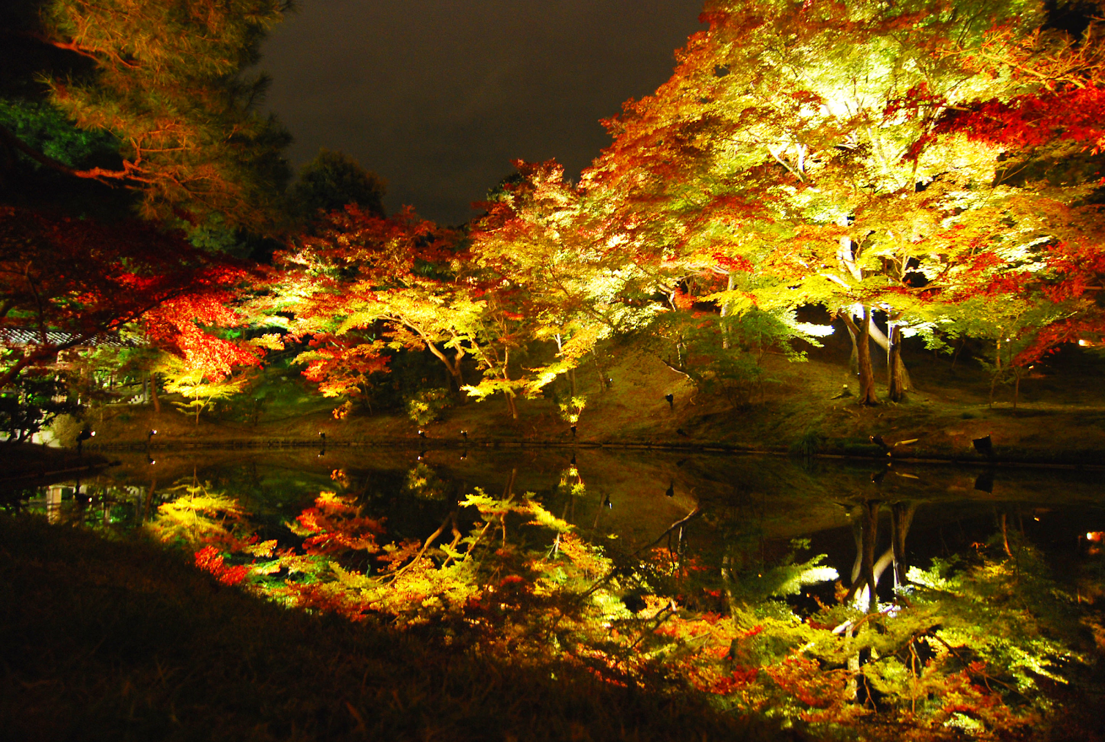 Vẻ đẹp lung linh huyền ảo khi mùa thu về ở Koudaiji - Kyoto (Nguồn: dulichtua.com)