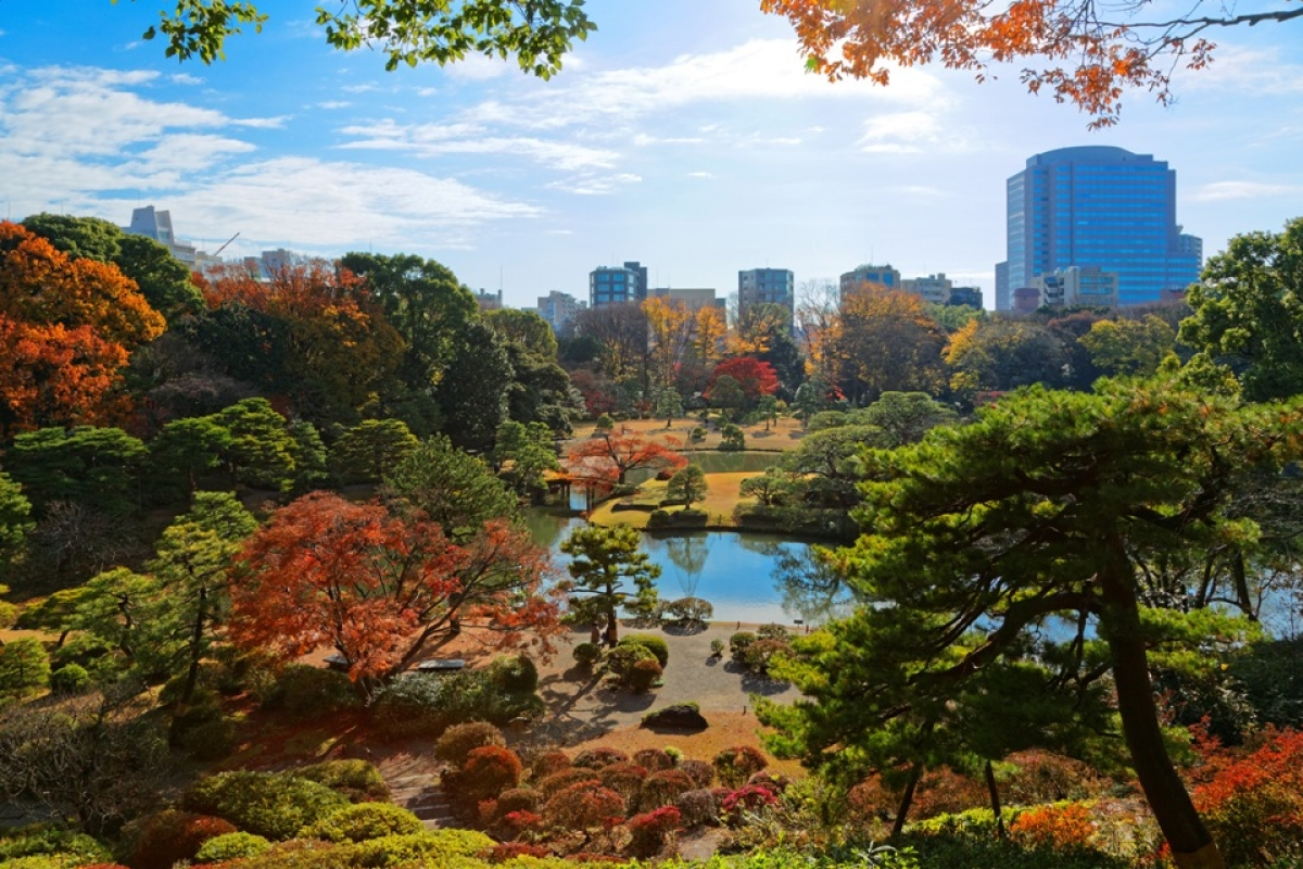 Vườn Rikugi-en (Nguồn: zekkei-japan.jp)