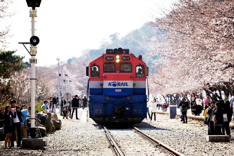 Xe lửa là phương tiện thông dụng của người dân Hàn Quốc (Nguồn: hivietnam.net)