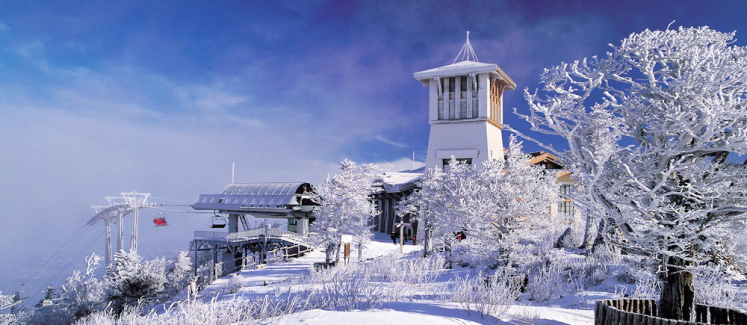Khu nghỉ mát trượt tuyết Yongpyong mang khung cảnh như trong truyện cổ tích (Nguồn: kkday.com)