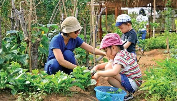 Family Garden phù hợp cho các bé vui chơi khám phá