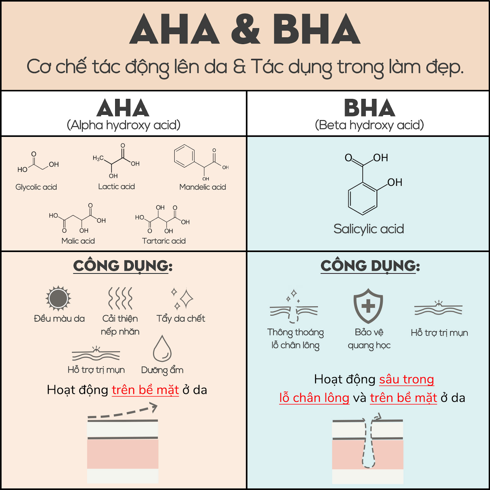 Kết hợp AHA và BHA trong quy trình skincare