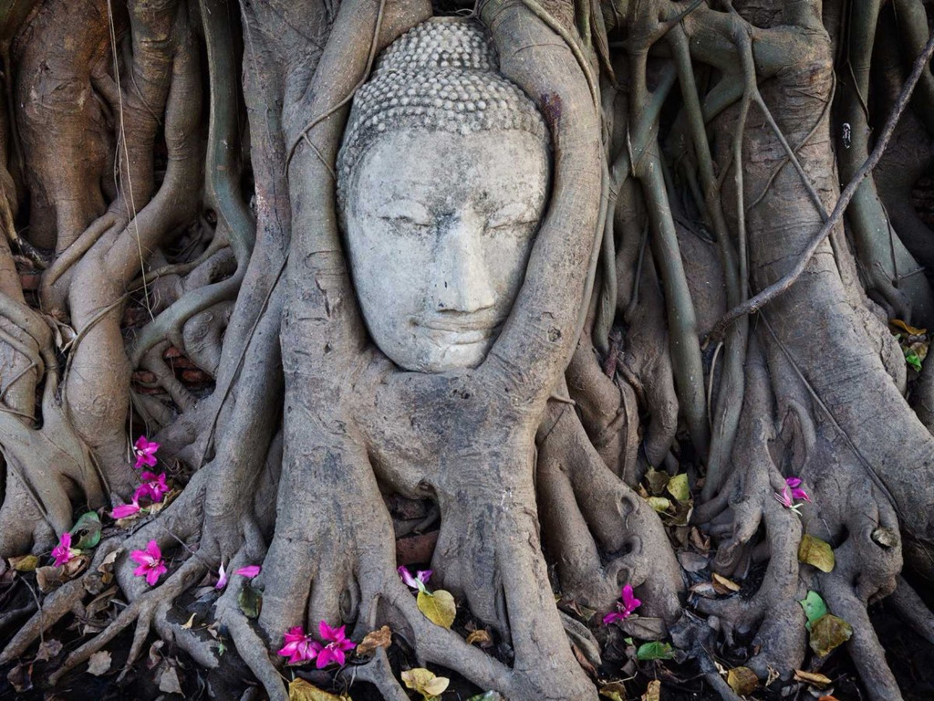  Công viên lịch sử Ayutthaya với hình ảnh độc đáo, kỳ bí (Nguồn: news.zing.vn)