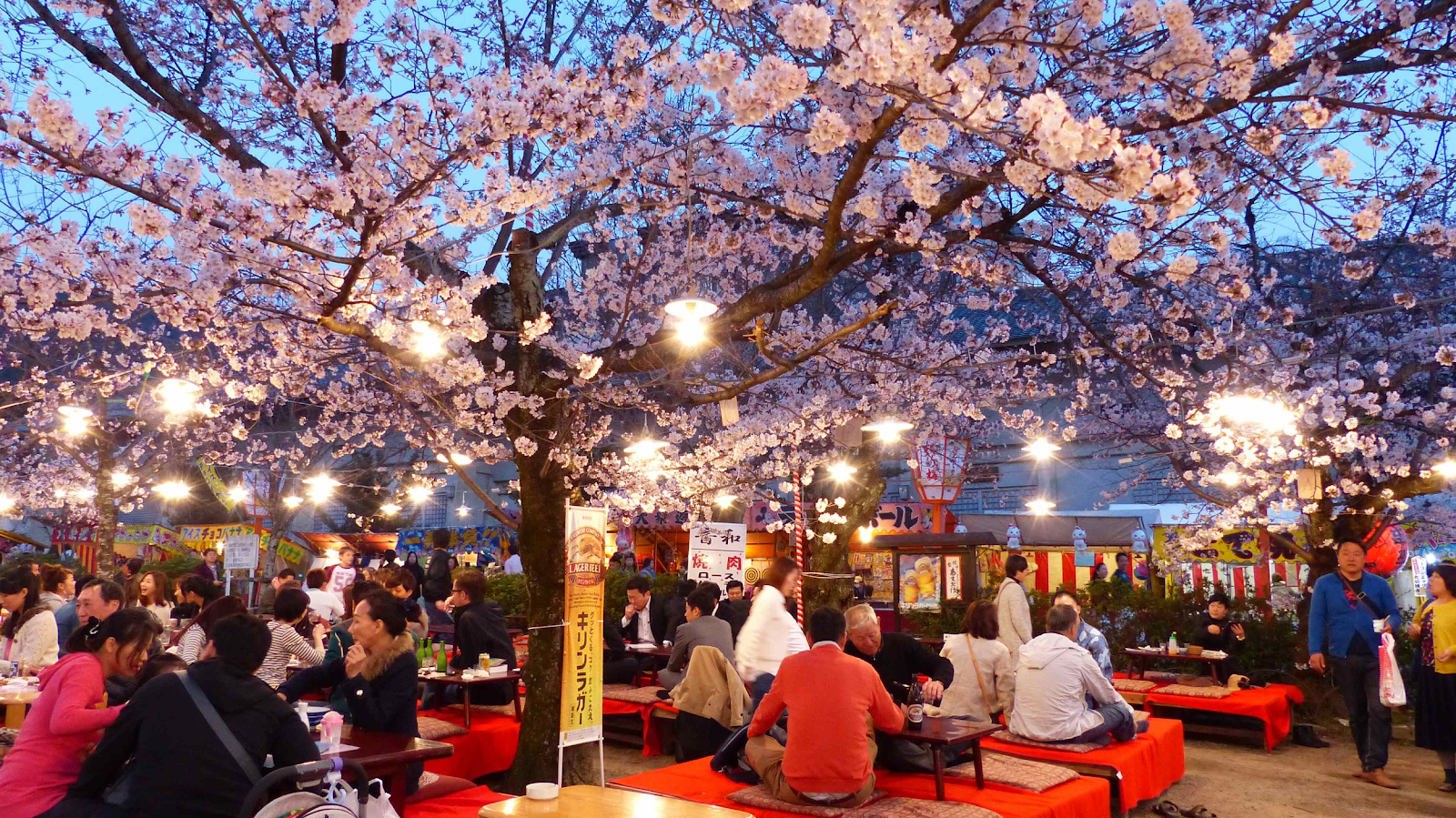 Lễ hội hoa anh đào tuyệt đẹp Hanami