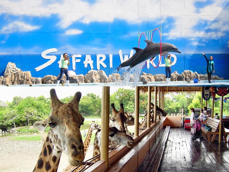 Địa điểm du lịch Thái Lan nổi tiếng - Vườn thú Safari World (Nguồn: taotailangthai.com)