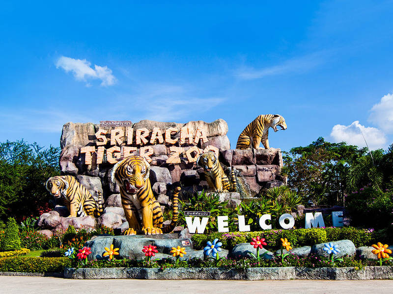 Khám phá vườn thú Sriracha với vô vàn những con thú kỳ lạ (Nguồn: dulichthailand.com)