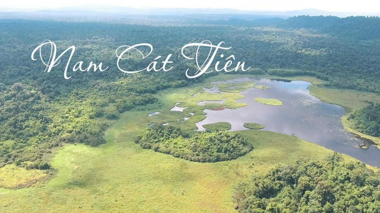 Vườn quốc gia Nam Cát Tiên thuộc huyện Tân Phú, Đồng Nai (Nguồn: youtube.com)