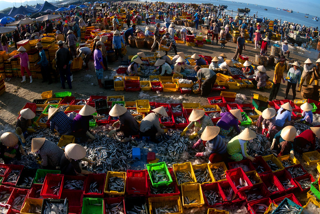 Có hàng trăm loại cá ở chợ Long Hải (Nguồn: flickr.com)