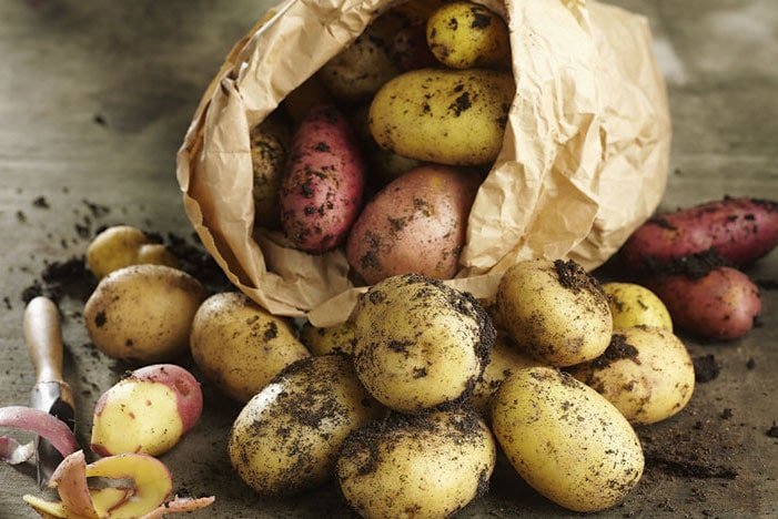 3 loại mặt nạ khoai tây sống chăm sóc da cực hiệu quả