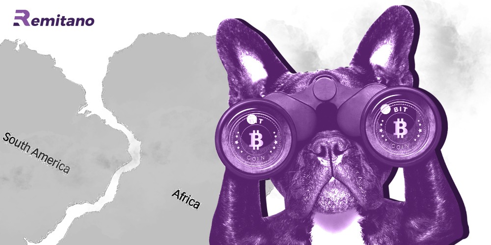 Số lượt tìm kiếm từ khóa Bitcoin cao nhất thuộc về châu Phi và Nam Mỹ