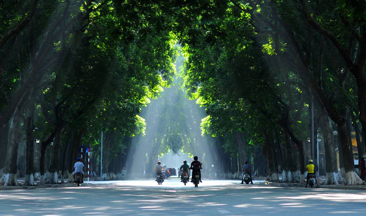 Phố Phan Đình Phùng với hàng cổ thụ trăm tuổi nên được mệnh danh là con đường đẹp nhất Thủ đô