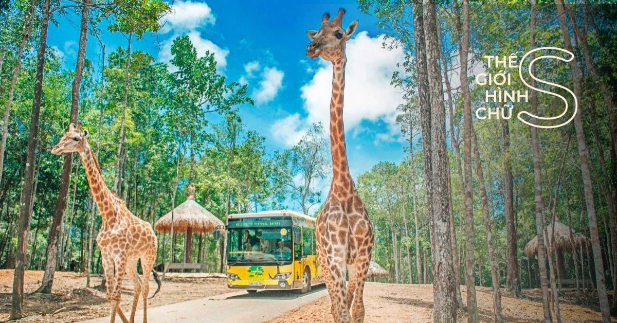 Hưu Cao Cổ ở Thế giới động vật muôn màu tại Vinpearl Safari Phú Quốc