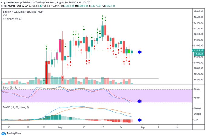 Biểu đồ giá gần đây của Bitcoin với sự phân tích bởi nhà giao dịch tiền điện tử CryptoHamster