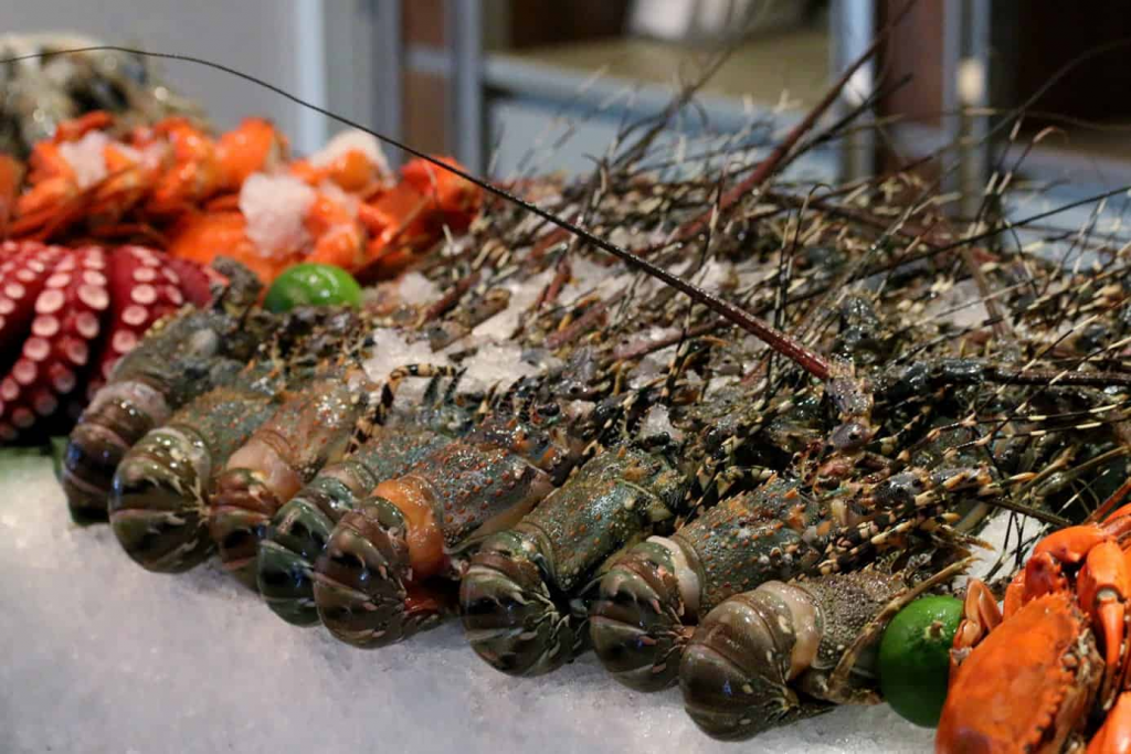 Red Chilli Seafood Buffet - Nhà hàng buffet cao cấp với không gian lãng mạn 