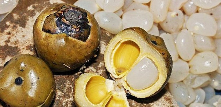 Hạt Đác là một trong những món đặc sản Nha Trang nổi tiếng