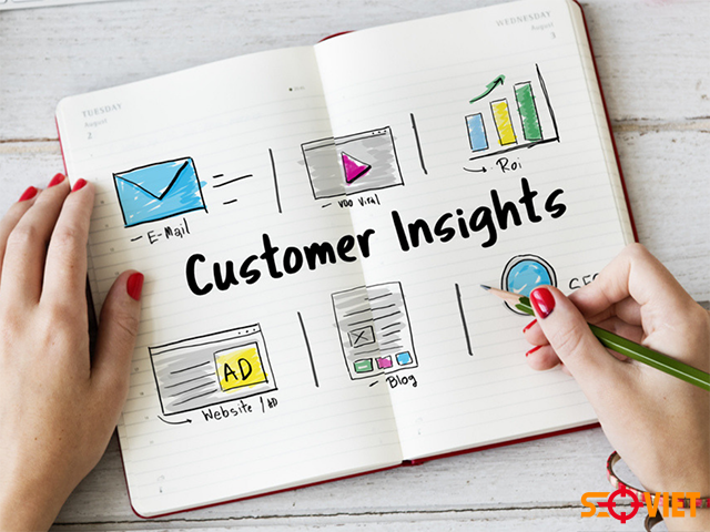 Customer Insights là gì? Các phương pháp xác định Insight khách hàng