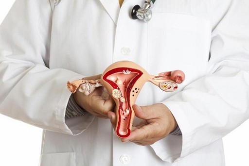 Độ dày niêm mạc tử cung ảnh hưởng đến việc mang thai